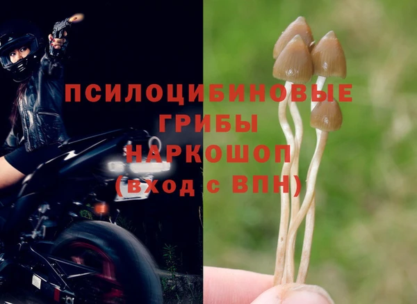 прущий лед Абинск