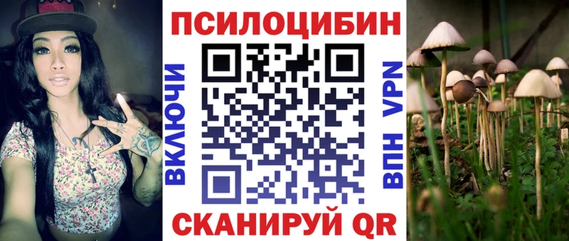 Галлюциногенные грибы GOLDEN TEACHER как найти наркотики Ядрин